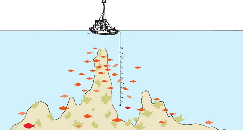 Τεχνική ψαρέματος καθετή από βάρκα